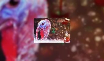Waarom eten we kalkoen met Kerst?