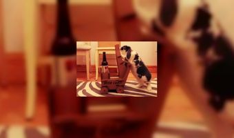 Konijn als horecamedewerker (VIDEO)