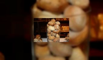 Kennisdeling op bakkersbeurs 