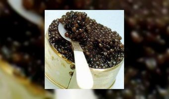 Einde wilde kaviaar nabij