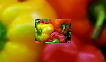 Trend 2013: Jeugd on the move