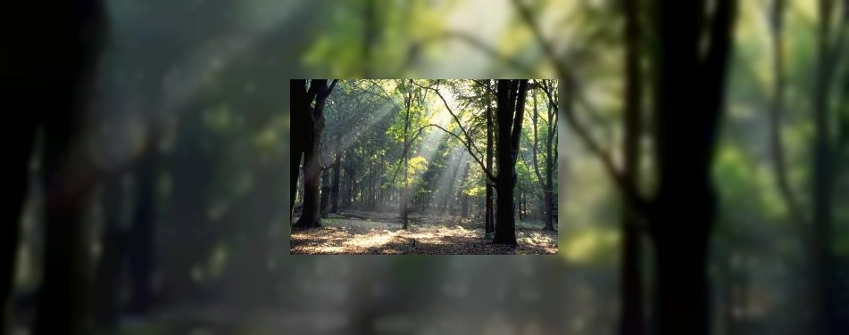 Veluwe krijgt overkoepelend bureau voor toerisme