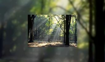 Veluwe krijgt overkoepelend bureau voor toerisme