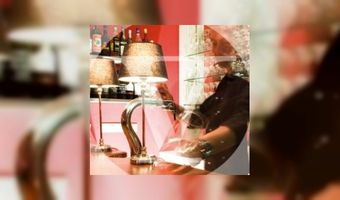 Metamorfose voor Willem V