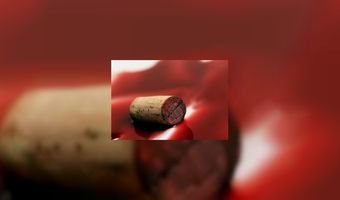 Frankrijk exporteert meer wijn