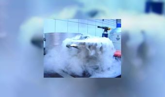 Kok verliest twee handen in stikstof-ongeluk