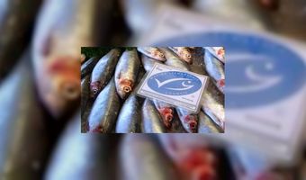 Dinnersite.nl toont MSC-restaurants