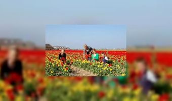 Het Roer Om: Bed & Breakfast en Pluktuin Tulpen & Zo, Julianadorp