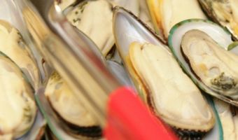 7 misverstanden over mosselen
