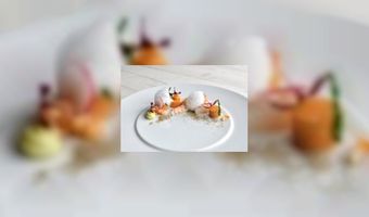 Wilde gans centraal op Texel Culinair