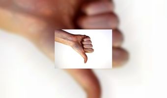 Opkomst illegale b&b's in Den Haag