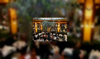 Bistro vs. brasserie: wat is het verschil?