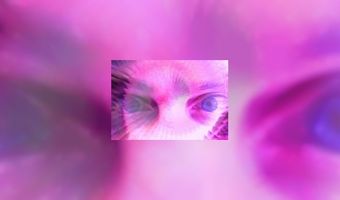 Gast mag niet uit hotel kunnen springen