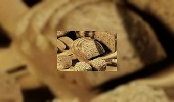 Graanmaalderij wordt lunchroom