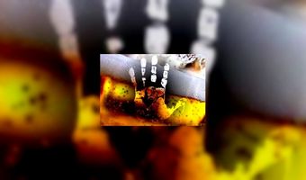 CafÃ© mag voor straf geen alcohol schenken