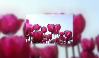 Beste b&b's van het land per categorie