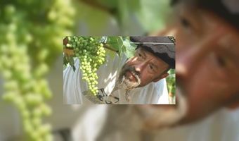 Nieuw boek Ilja Gort in de winkel