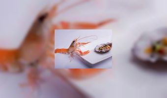 Topchef Tom Boere naar Otium