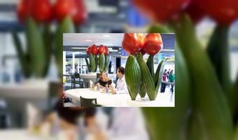 HMSHost wint innovation award 2010