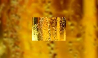 Stadsmuseum wordt cafÃ©