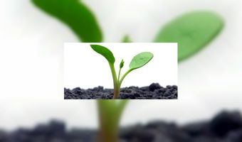 Groene hotels hebben hogere kamerprijzen