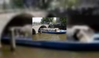 Europan Hotel Design Award nominatie voor Waldorf Amsterdam 