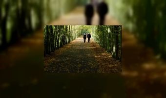 Wandelen van b&b naar b&b