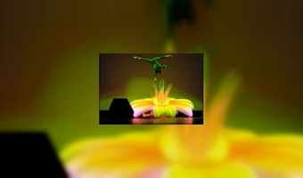 Locatietheater in 26 Utrechtse cafÃ©s