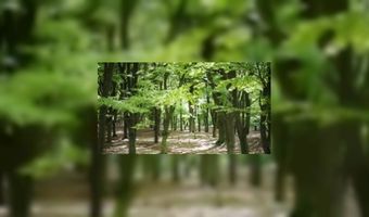 Overijssel trekt iets meer toeristen