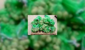 Topkoks maken lunch van waste