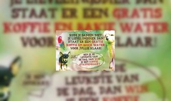 Bagels & Beans start beestachtige actie