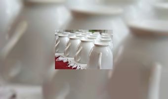 Nieuwe speler in de catering 