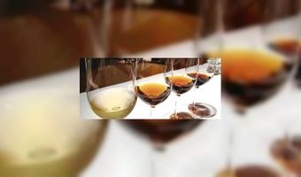 Studenten op reis naar Sherry-streek