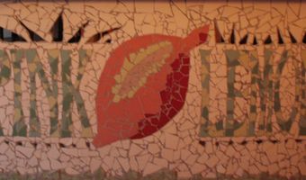 Interview: Pink Lemon in s-Hertogenbosch