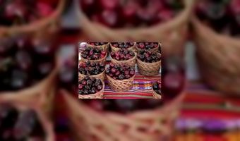 Vooral zuurpruim kiest voor fruit