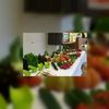 Chefs leren bij op Food Professional Day