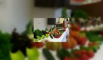 Chefs leren bij op Food Professional Day