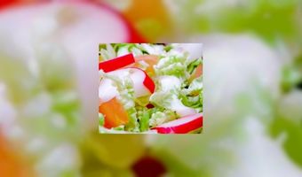 Subway test vegetarische broodjes 