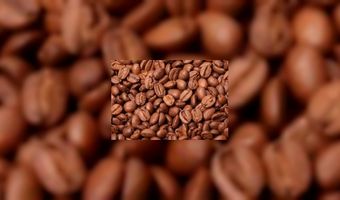 SAB Catering levert eigen koffiebonen 