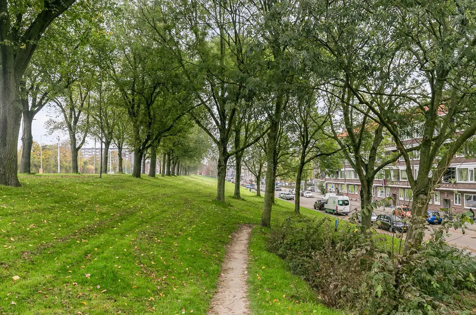 Schiedamseweg Beneden 507A