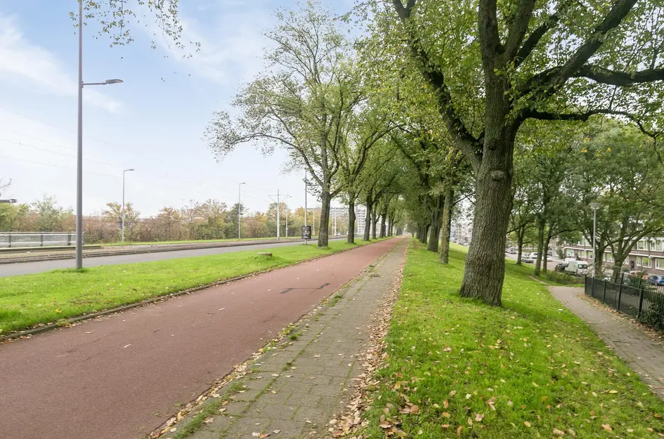 Schiedamseweg Beneden 507A