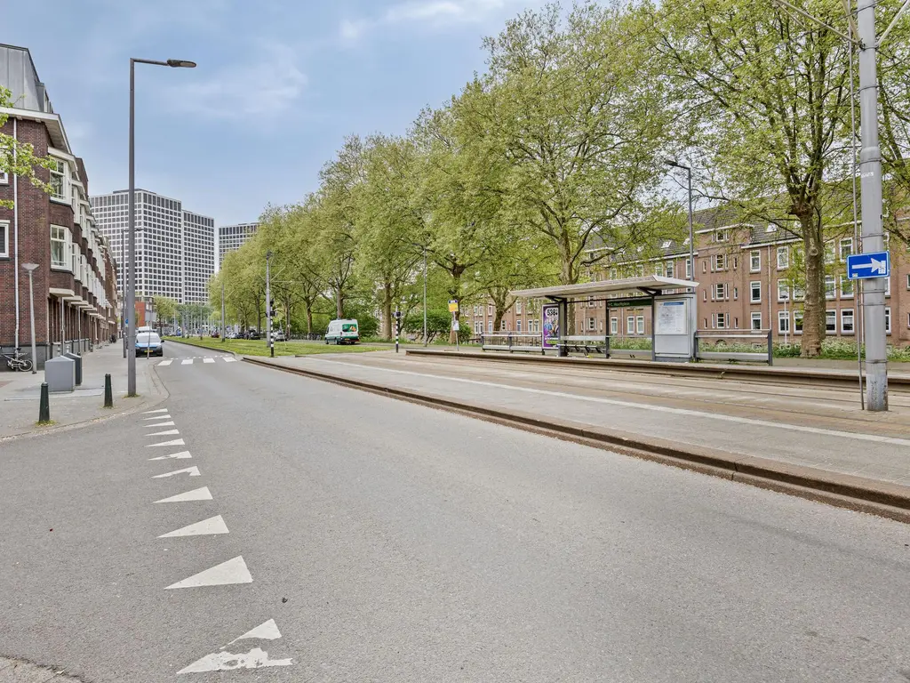 Willem Beukelszstraat 10C, ROTTERDAM