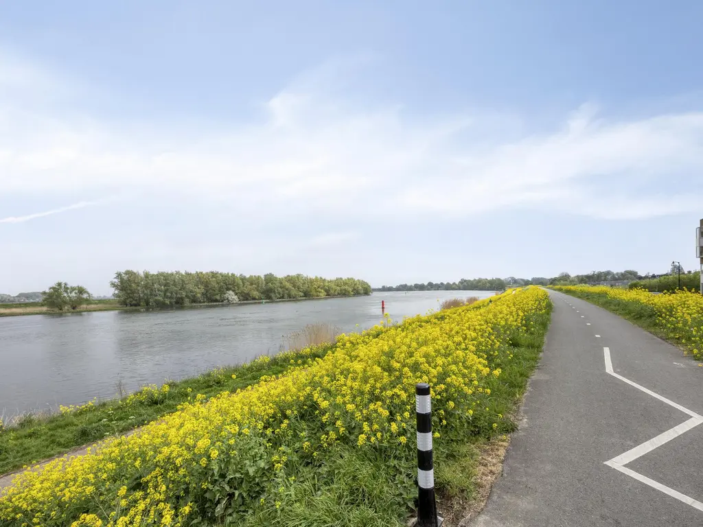 Oostdijk 123, OUD-BEIJERLAND