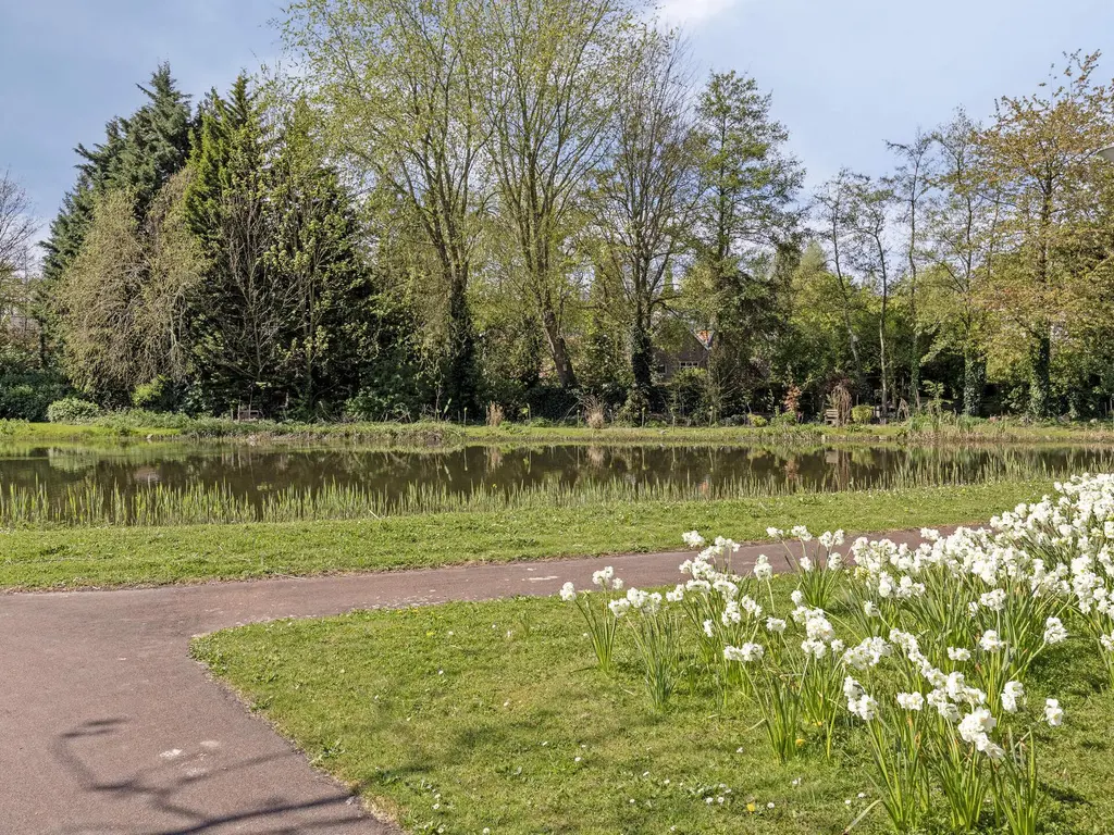 Huniadijk 39, ROTTERDAM