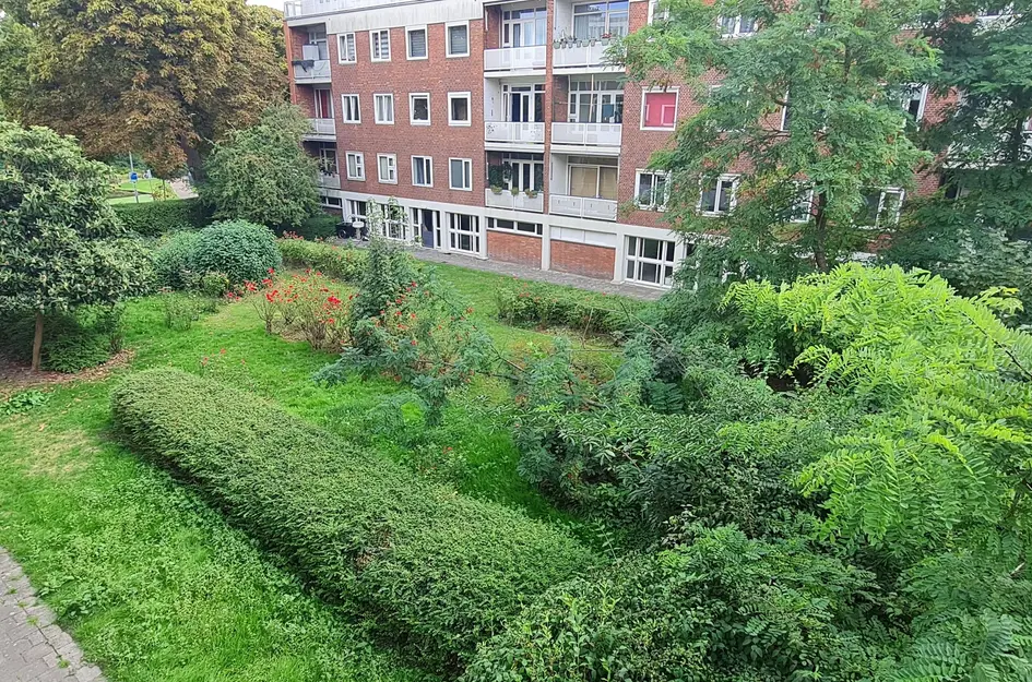 Doggerstraat 8B