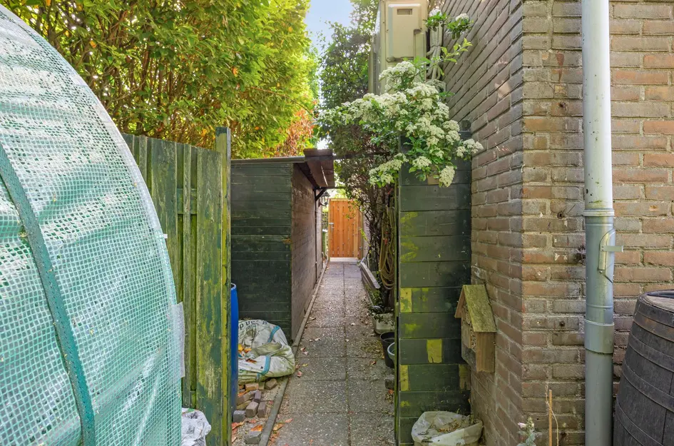 Brigantijn 55