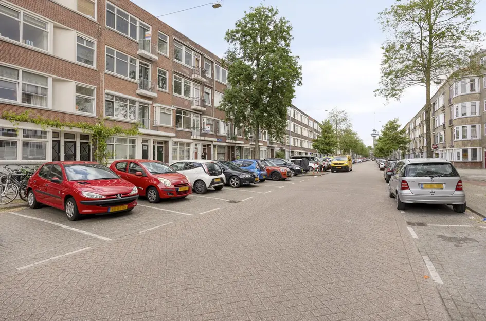 Willem Buytewechstraat 207B