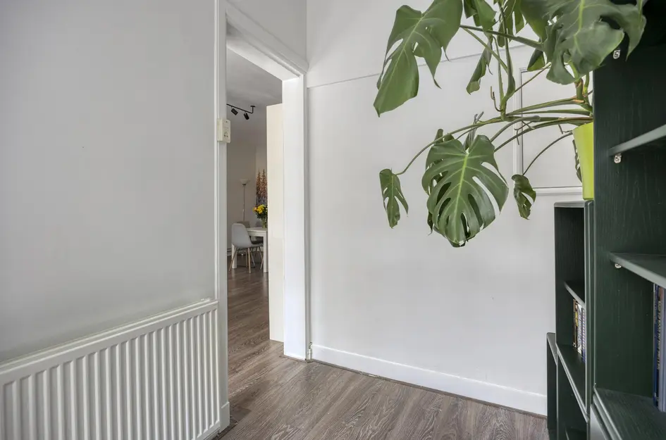 Willem Buytewechstraat 207B