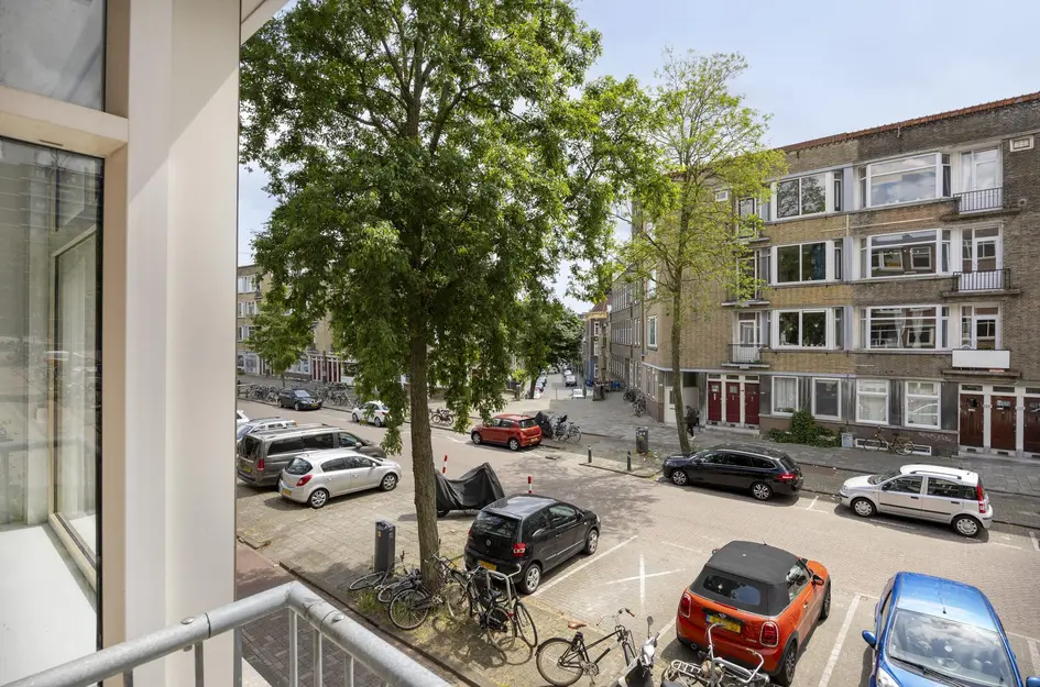 Willem Buytewechstraat 207B