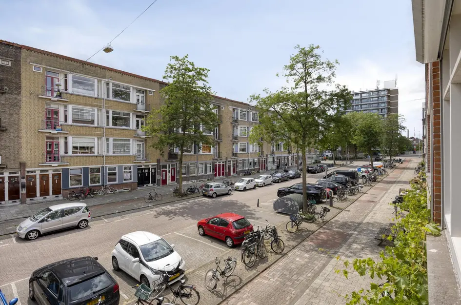 Willem Buytewechstraat 207B